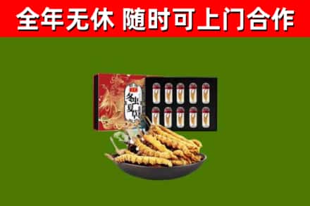 泰山区烟酒回收冬虫夏草礼盒.jpg
